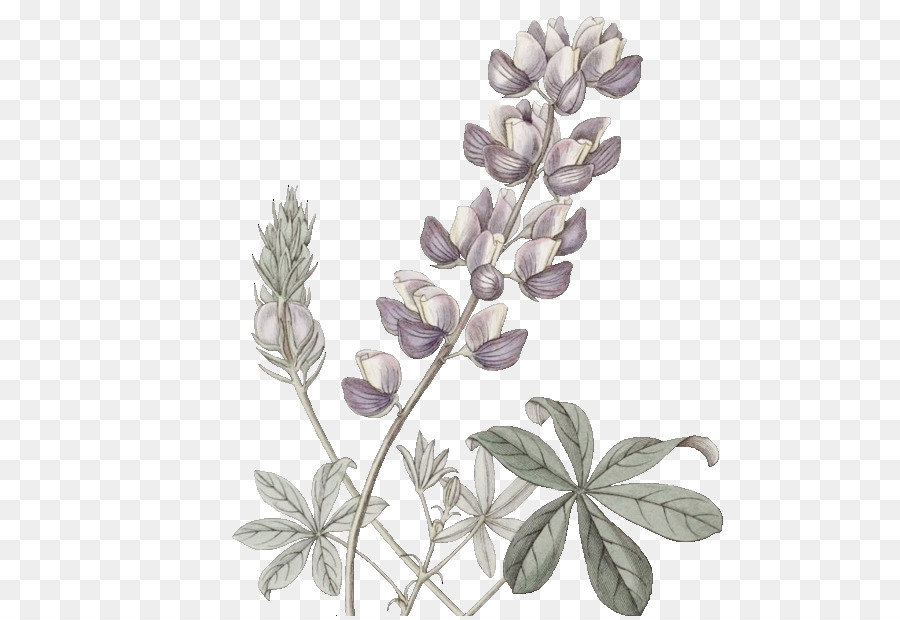 Fleur，Usine PNG