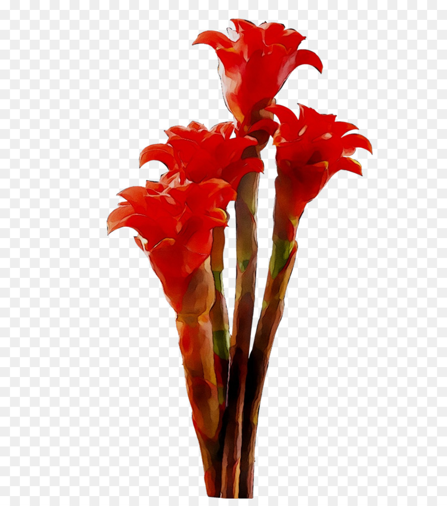 Fleurs Rouges，Fleurir PNG