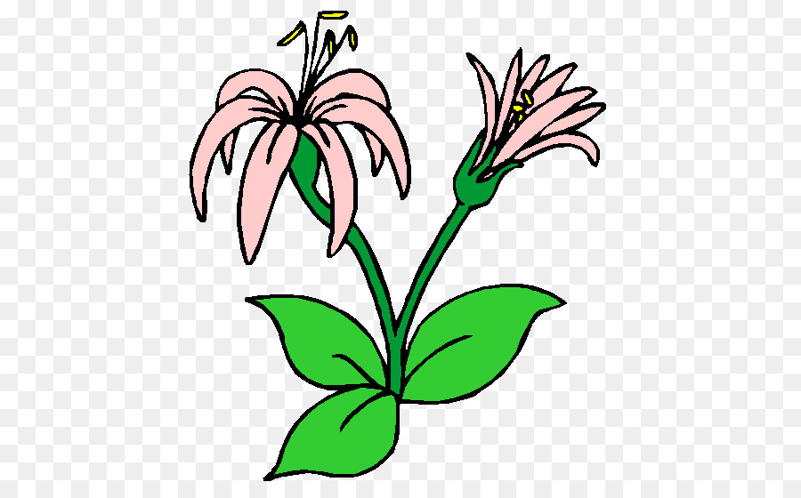 Fleurs Blanches，Floraison PNG