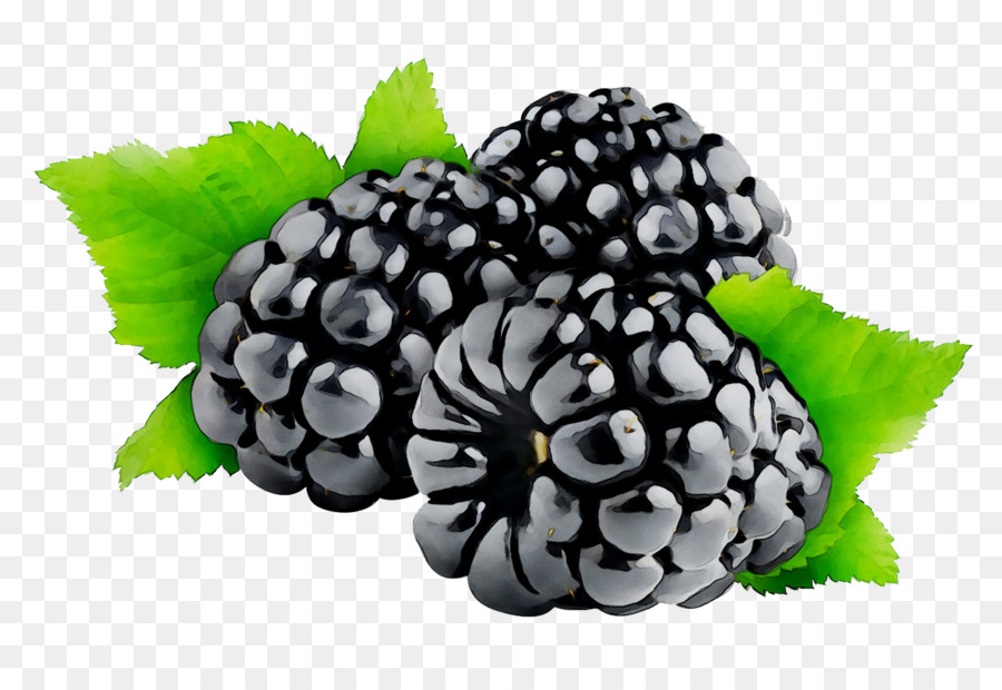 Mûres，Fruit PNG