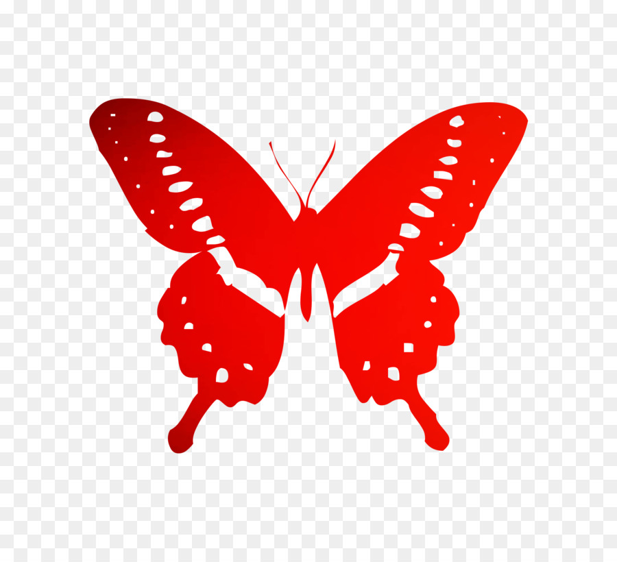 Papillon，Ailes PNG