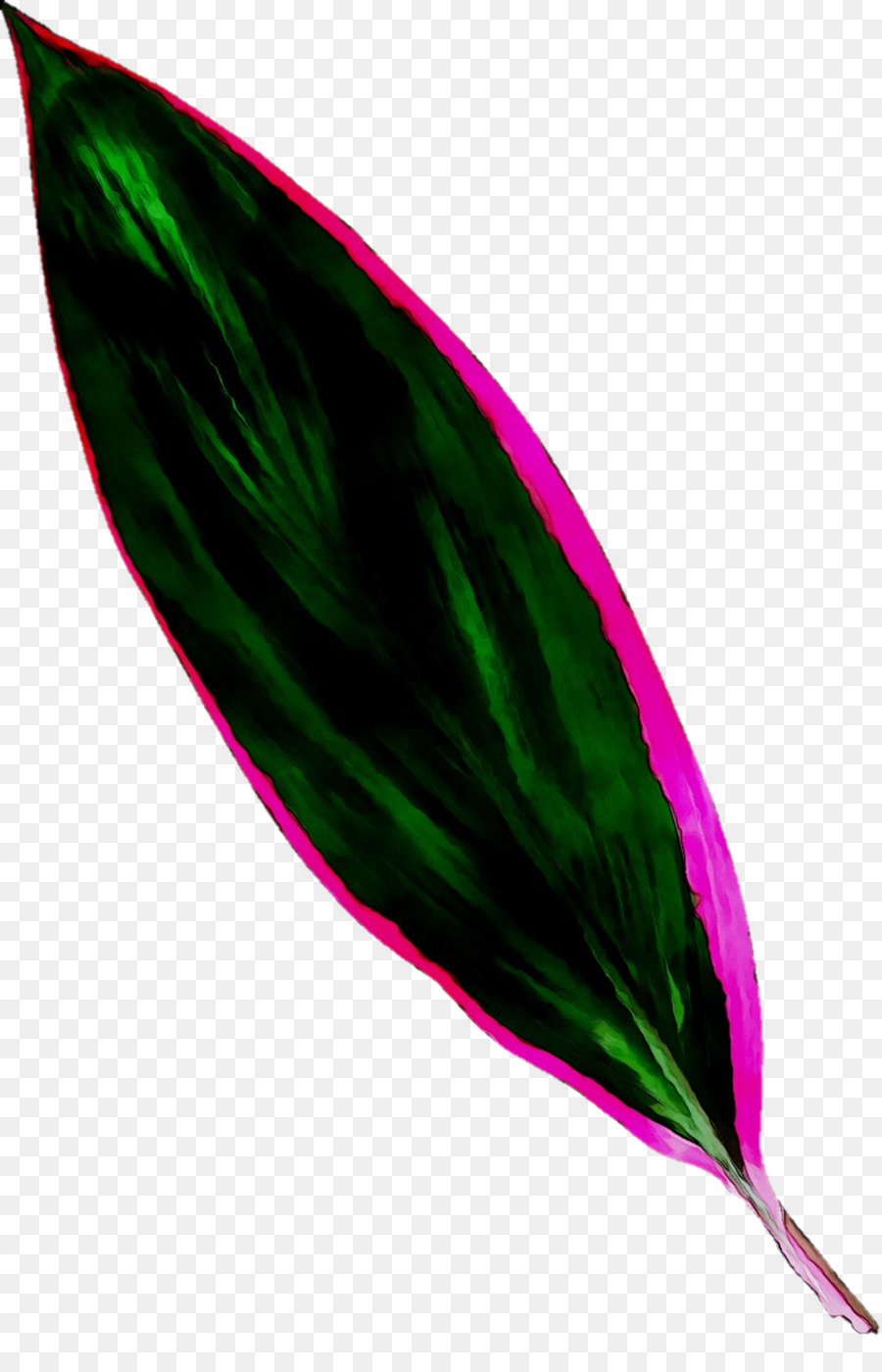 Feuille，Vert PNG