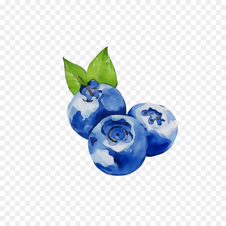 Bleuets，Feuilles PNG