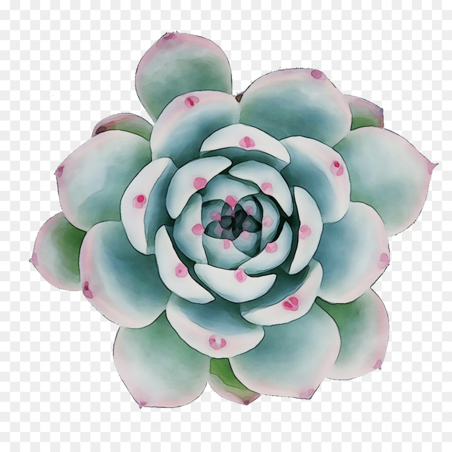 Succulent，Vert PNG