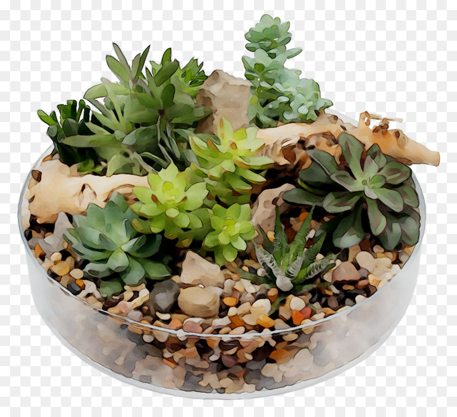 Plante D'intérieur，Flowerpot PNG