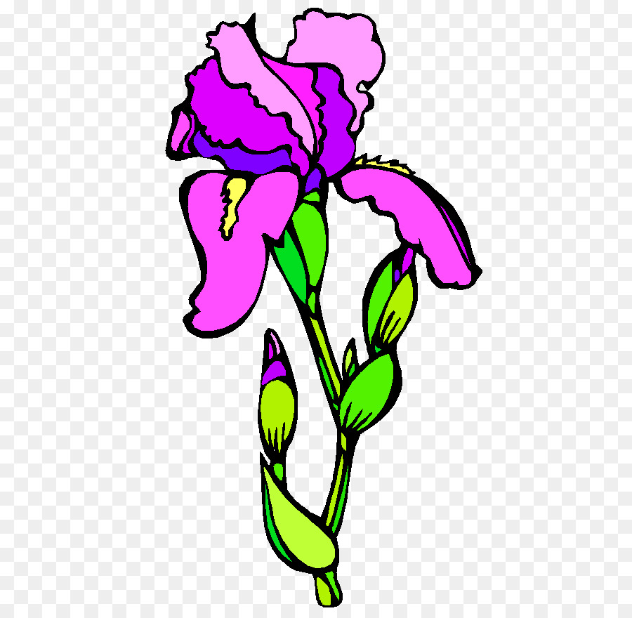 Design Floral，Fleur PNG