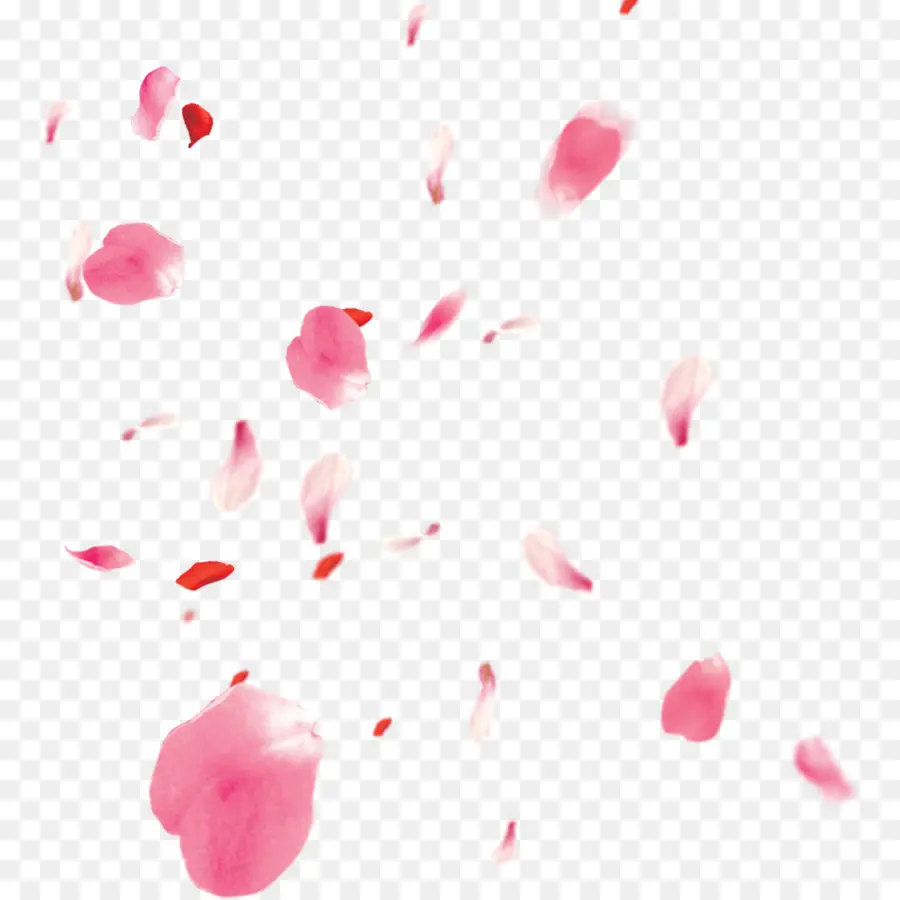 Pétales Roses，Fleur PNG