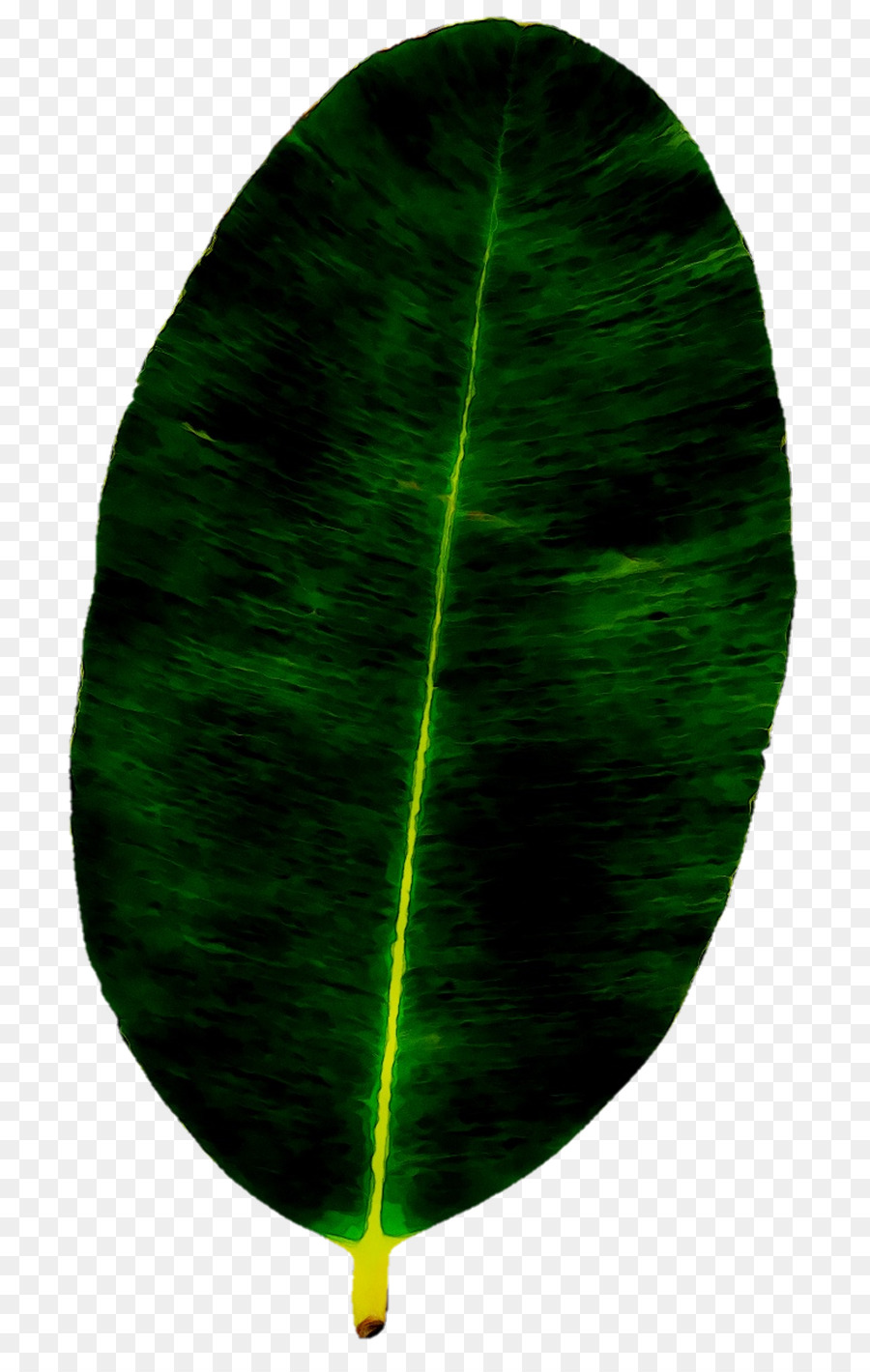 Vert，Feuille PNG