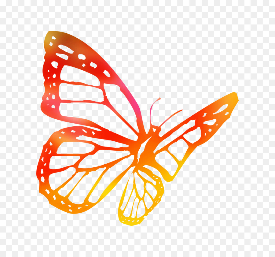 Papillon，Coloré PNG