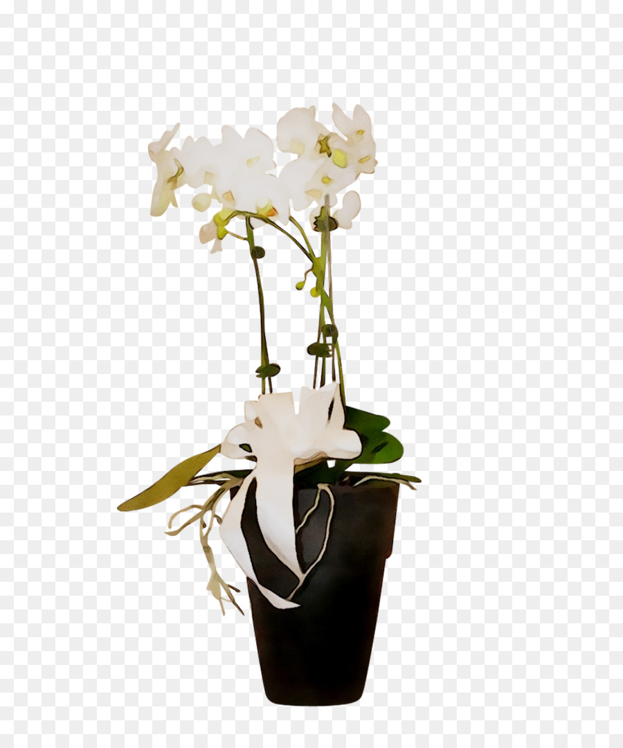 Orchidée，Fleur PNG