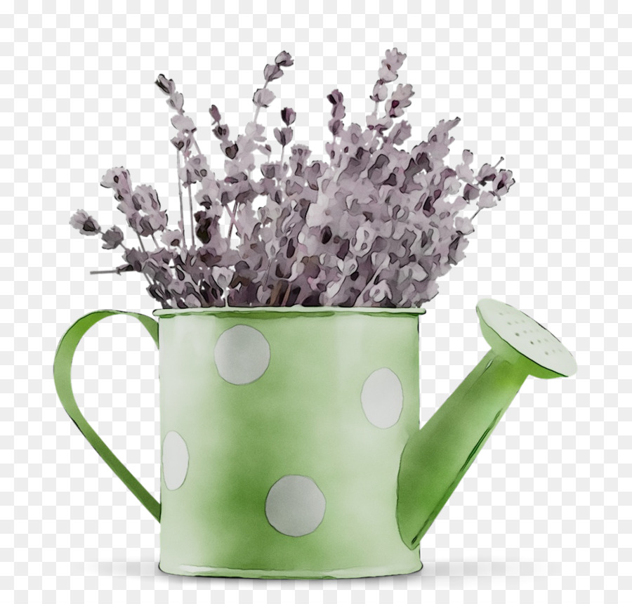 Violet，Les Plantes PNG