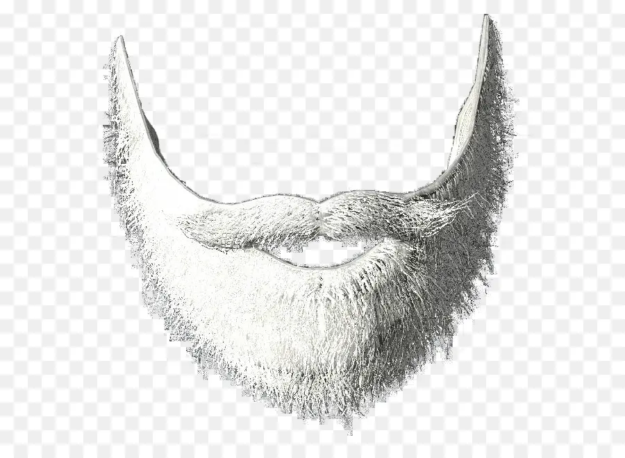 Barbe Blanche，Poils Du Visage PNG