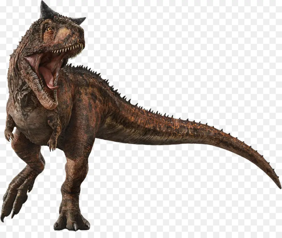 Carnotaurus，Velociraptor PNG
