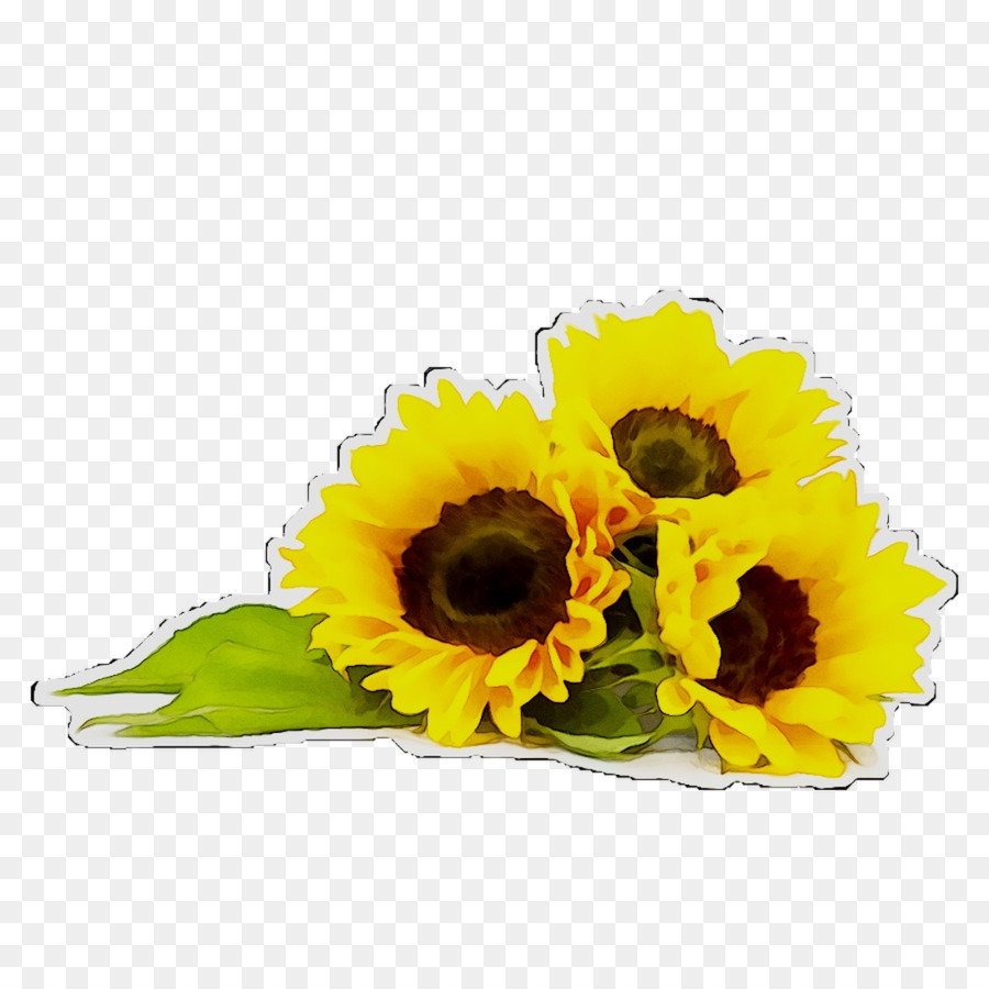 Tournesols，Fleurs PNG