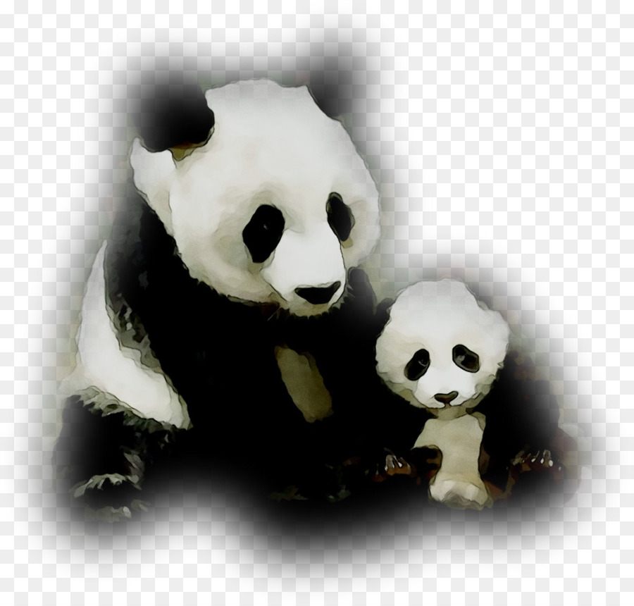 Panda Géant，Des Animaux En Peluche Jouets En Peluche PNG