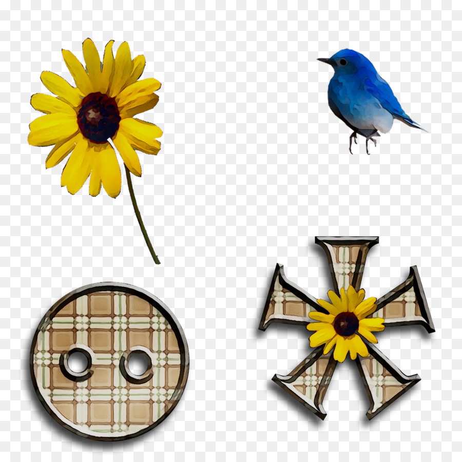 Tournesol，Alphabet PNG