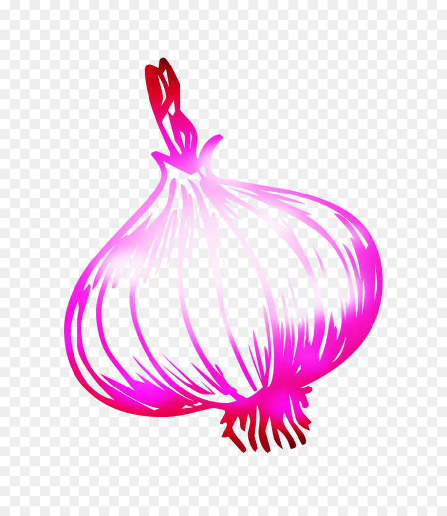 La Floraison De La Plante，Ligne PNG