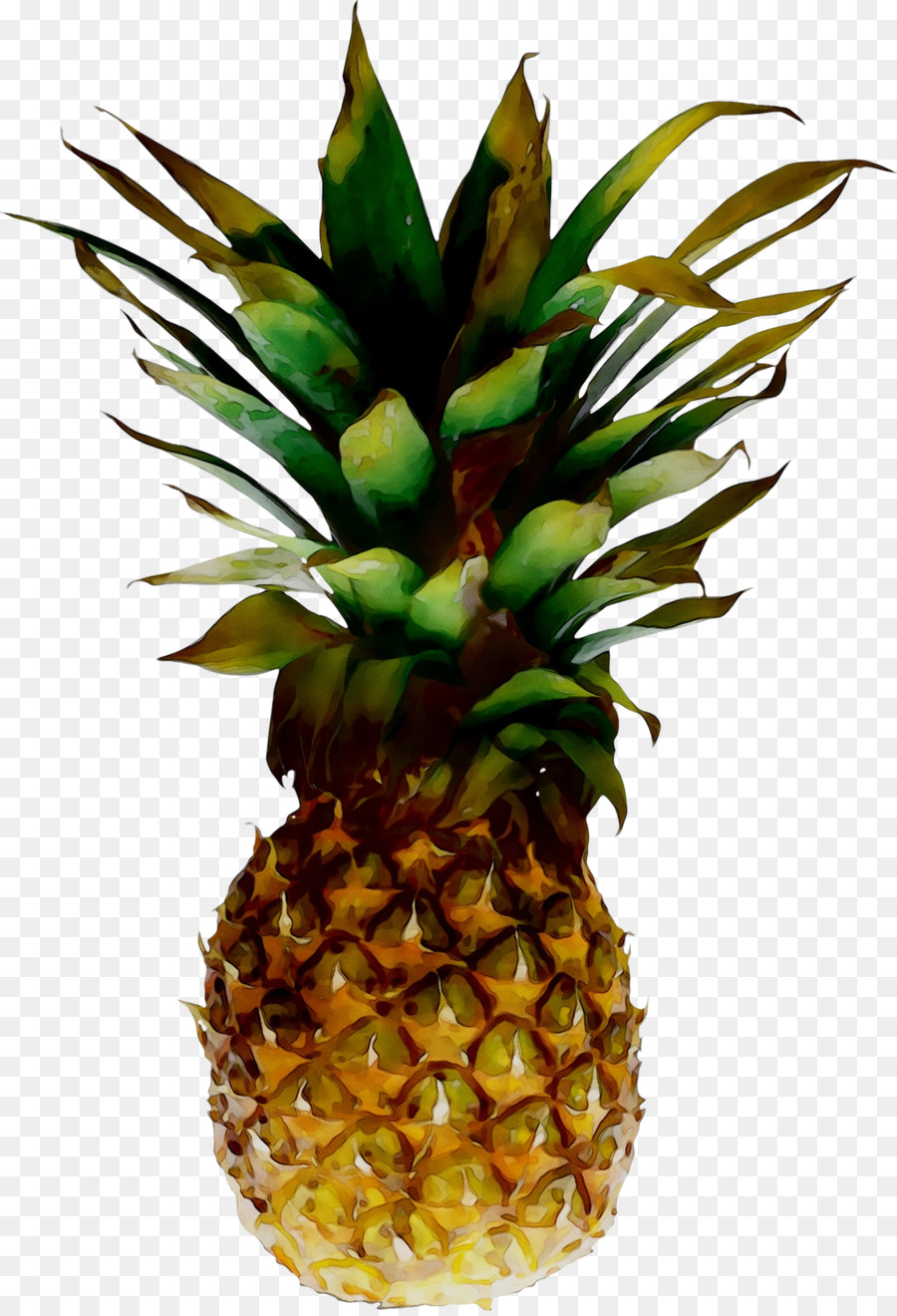 Ananas Bleu，Fruit PNG