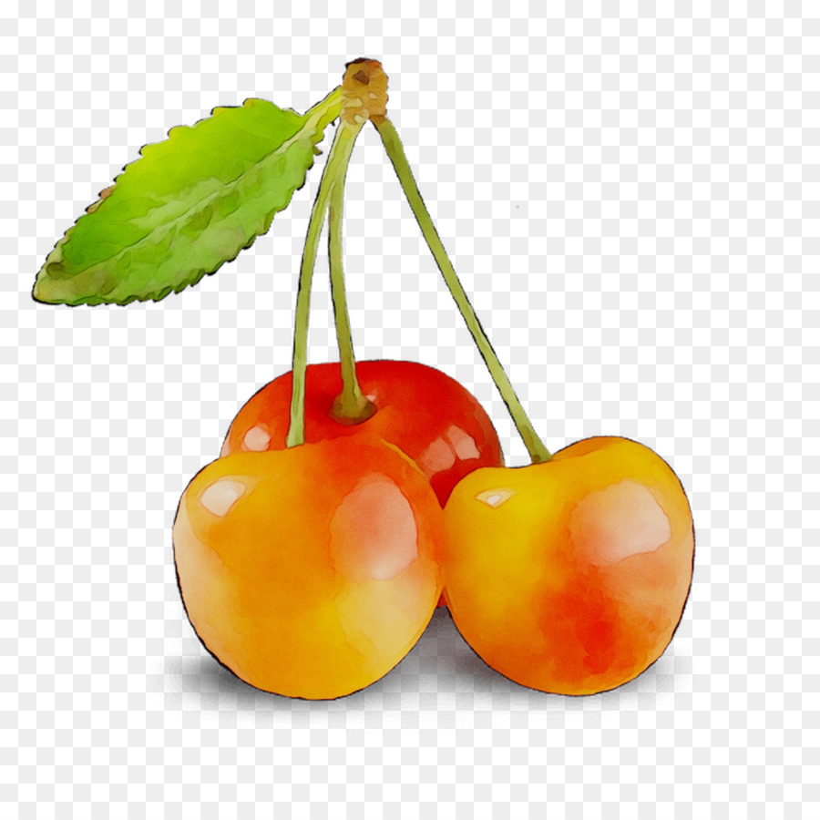 Cerises Rouges，Feuille PNG