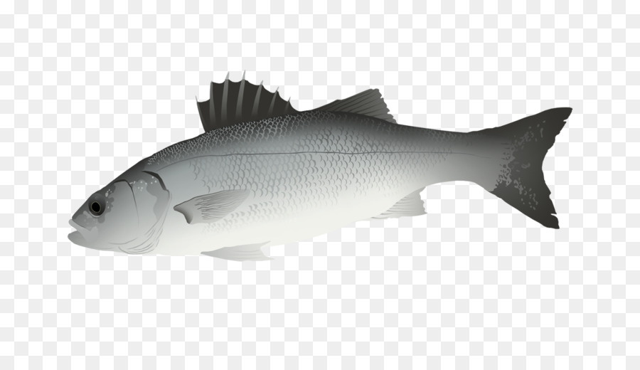 Poisson Bleu，Aquatique PNG