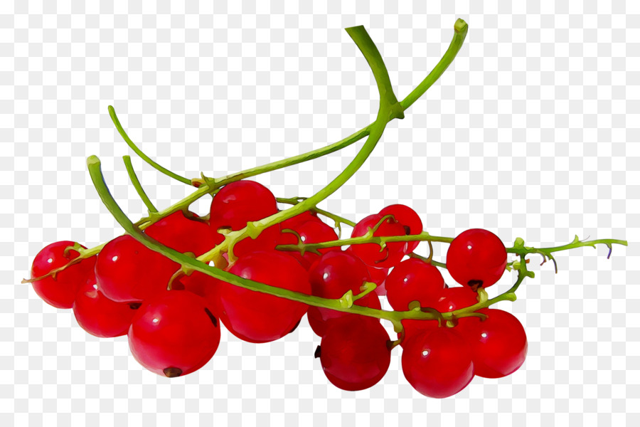 Fruits Rouges，Feuilles PNG