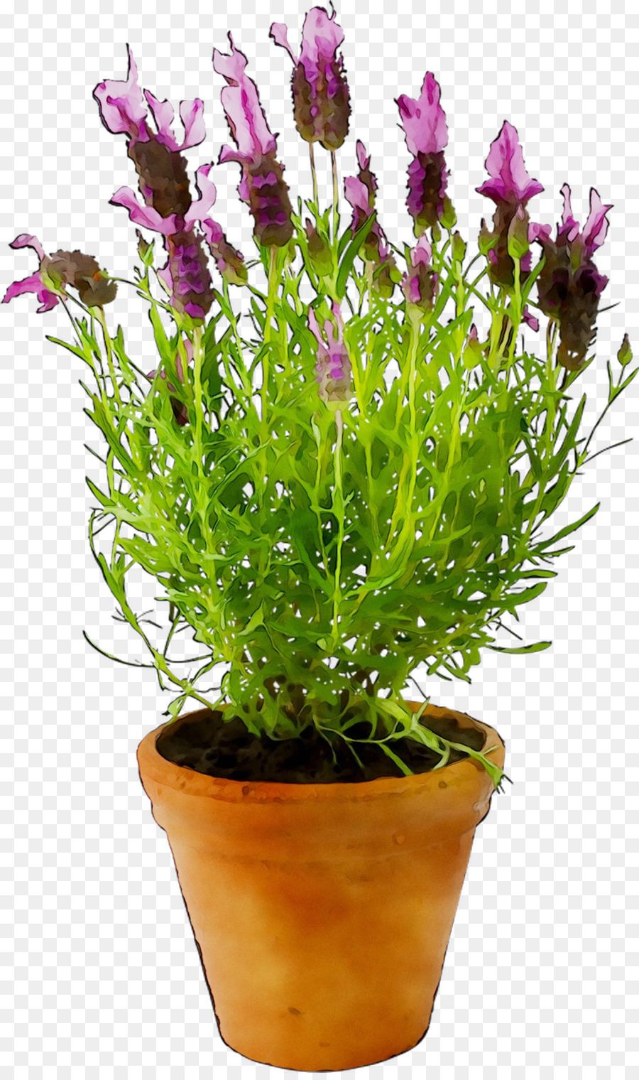 Flowerpot，Evelots Arrosage Auto PNG