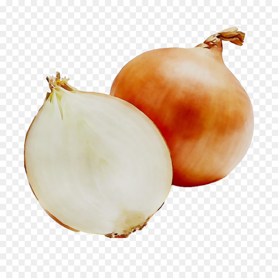 Oignons，Brun PNG