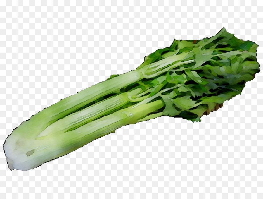 Brocoli，Printemps Verts PNG