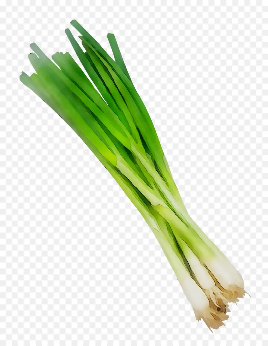 Oignons Verts，Frais PNG