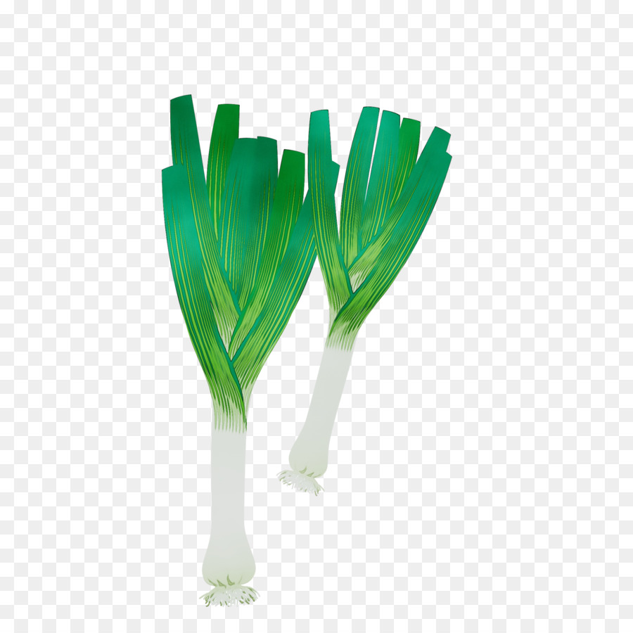 Tige De La Plante，Les Plantes PNG