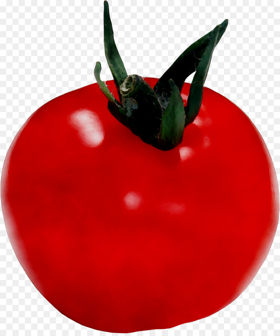 Tomate，Plant De Tomate PNG