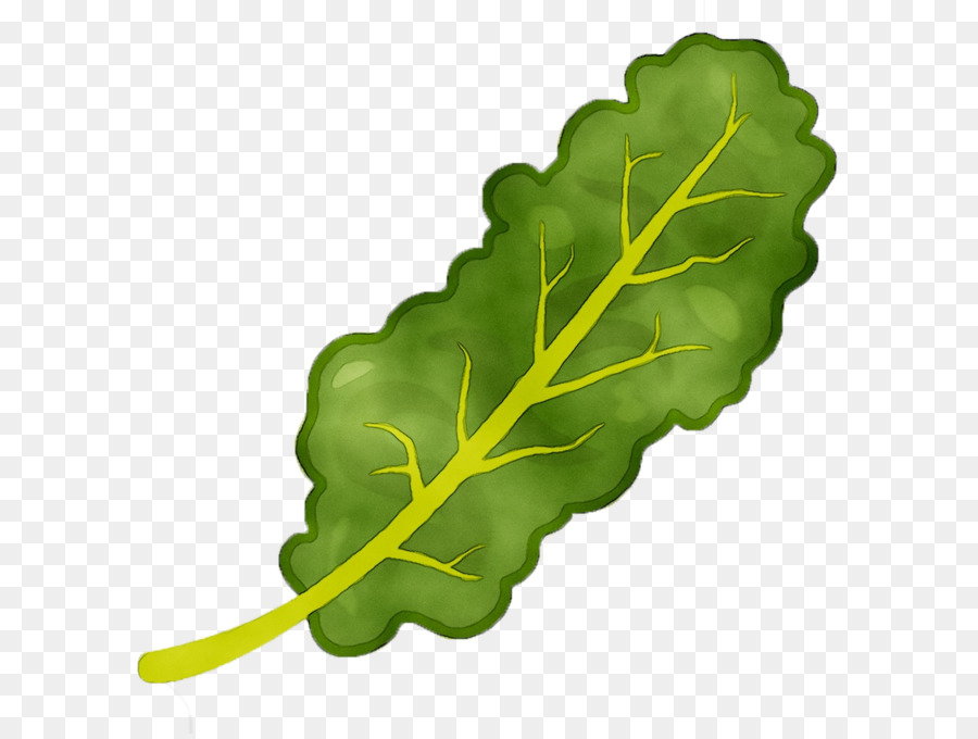 Légume à Feuilles Vertes，Feuille PNG