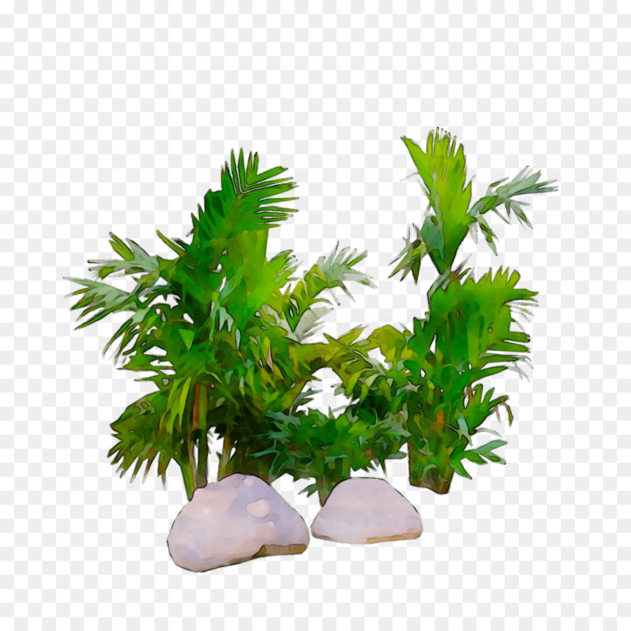 Plantes，Rochers PNG