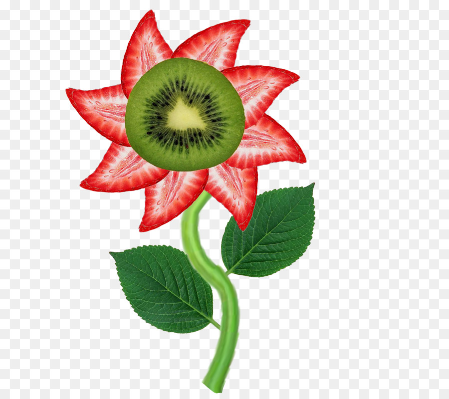 La Floraison De La Plante，Tige De La Plante PNG