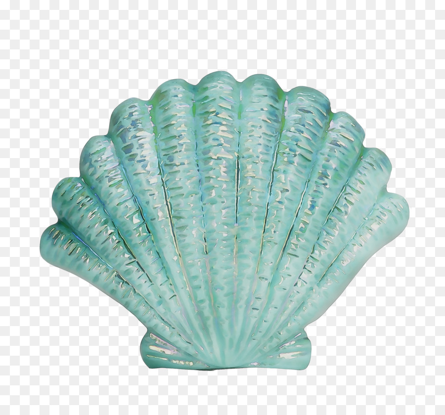 Turquoise，Feuille PNG