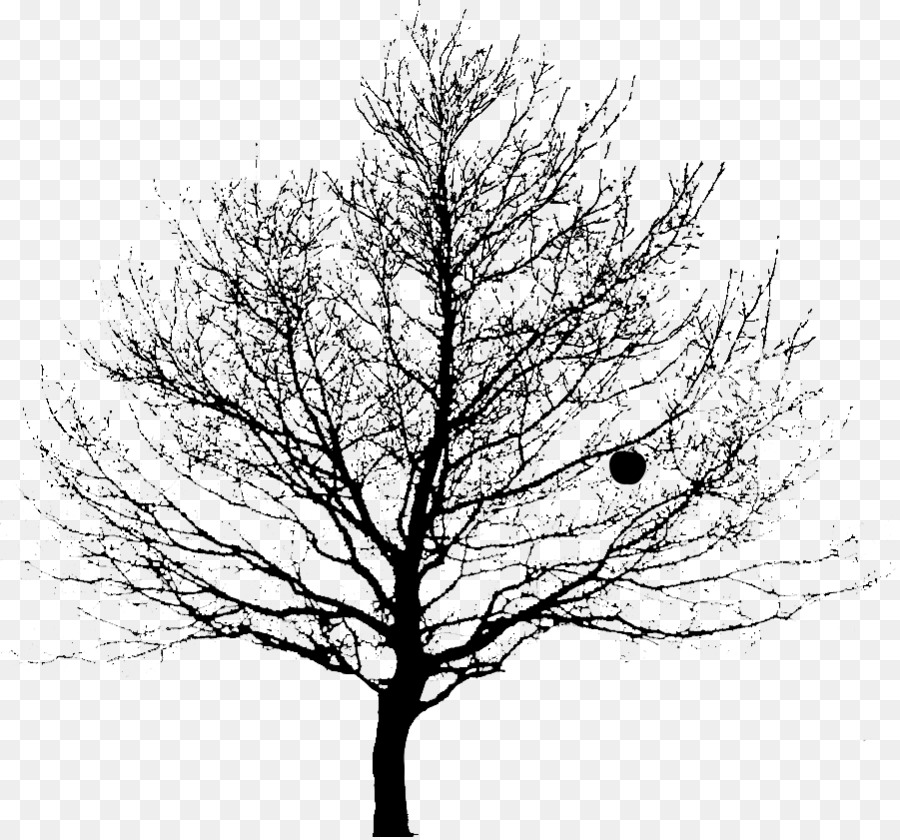 Arbre，Silhouette PNG