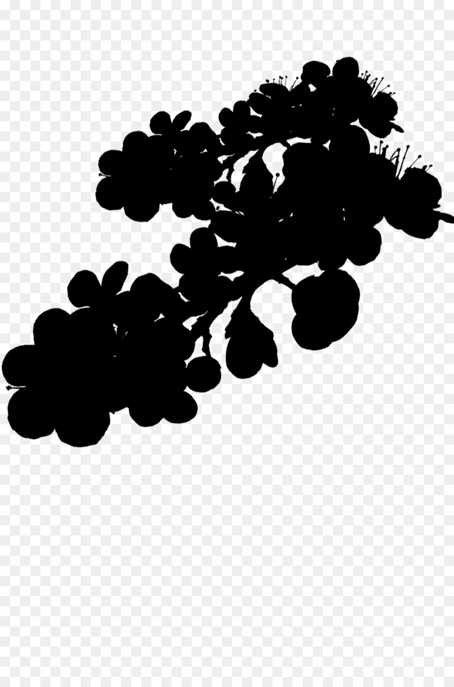 Fleur Silhouette，Noir PNG