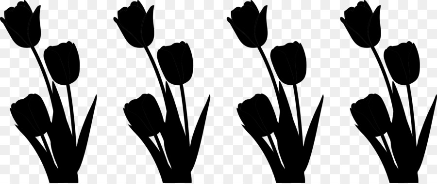 Tulipes Noires，Fleurs PNG