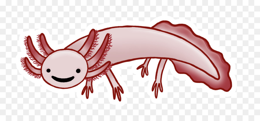 Axolotl，Amphibie PNG