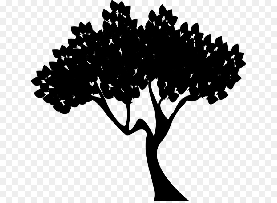 Silhouette D'arbre，Usine PNG