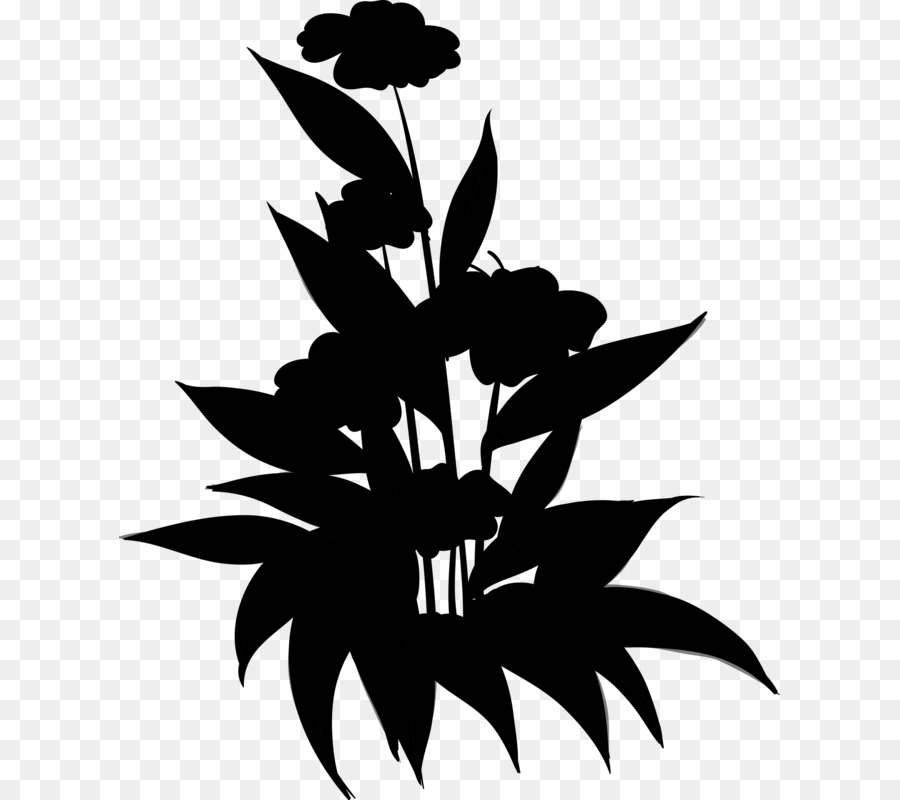 Fleur Silhouette，Noir PNG