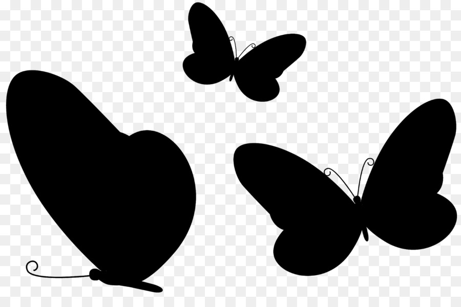 Papillon Noir，Insecte PNG