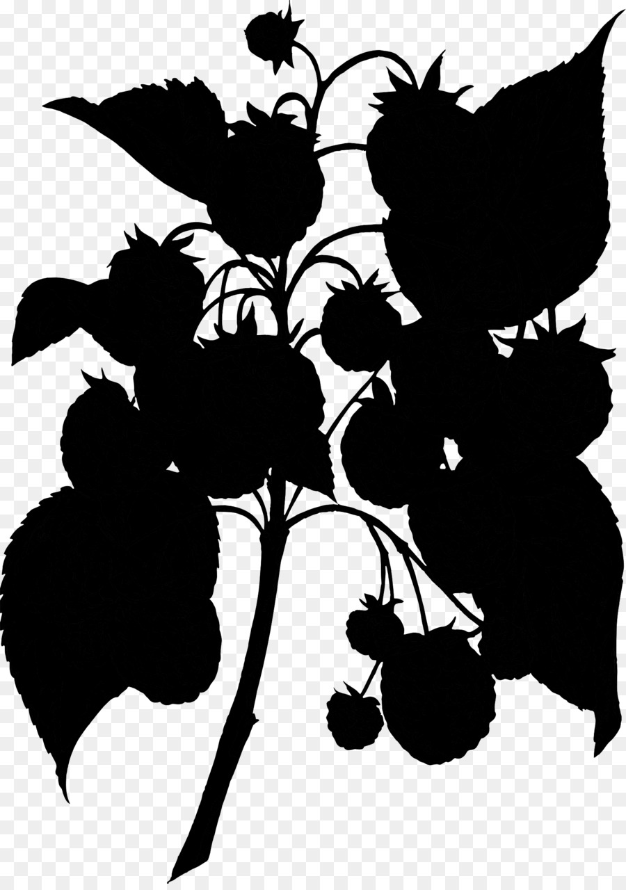 Raisin，Silhouette PNG