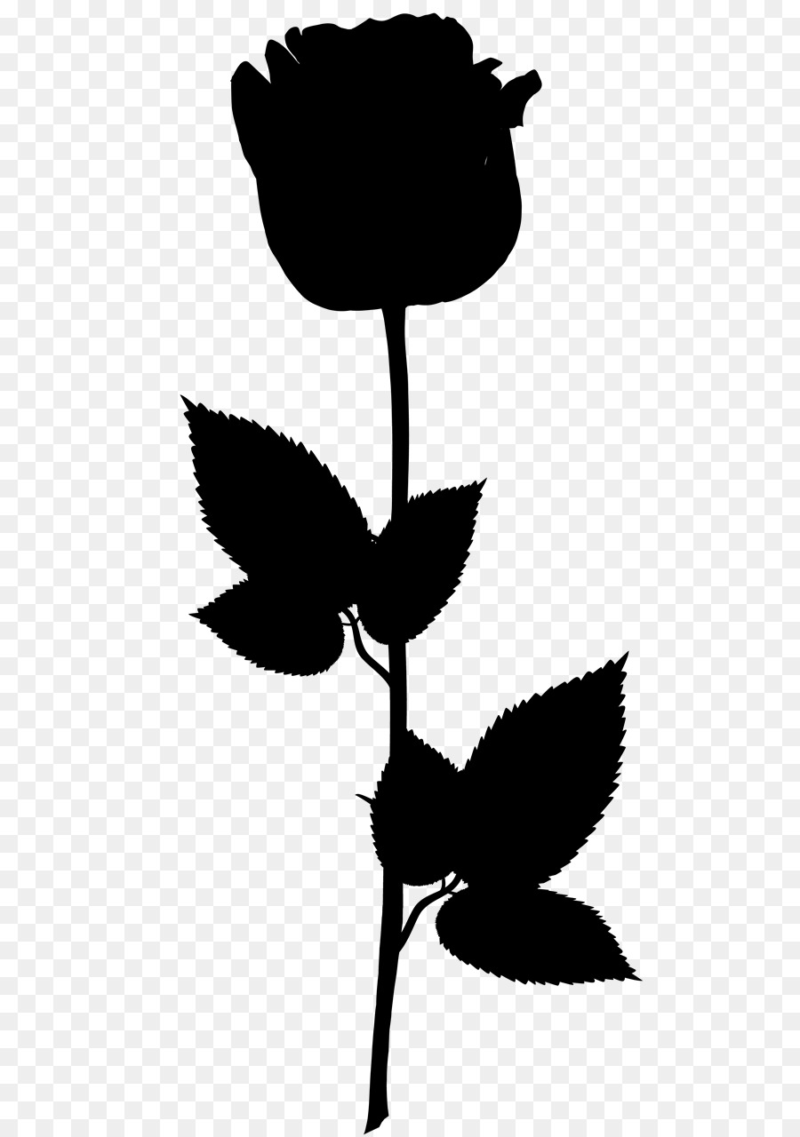 Rose Noire，Silhouette PNG