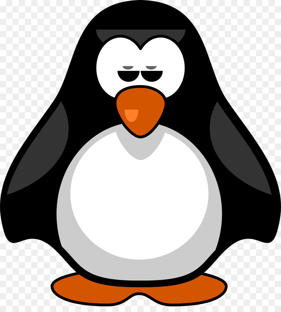 Pingouin Et Singe，Animal PNG