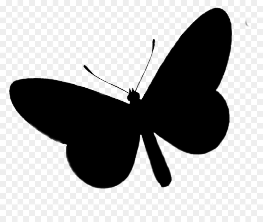 Papillon Noir，Insecte PNG