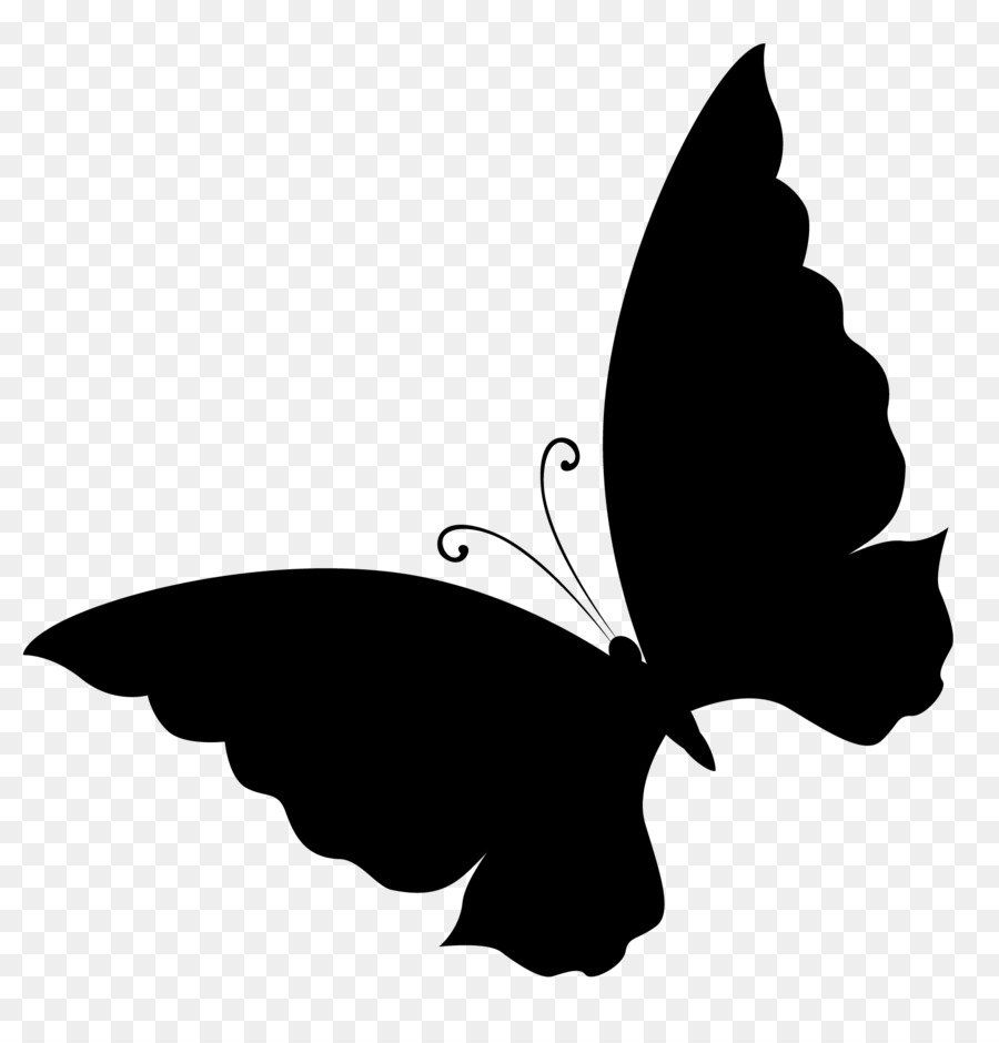 Papillon Noir，Insecte PNG