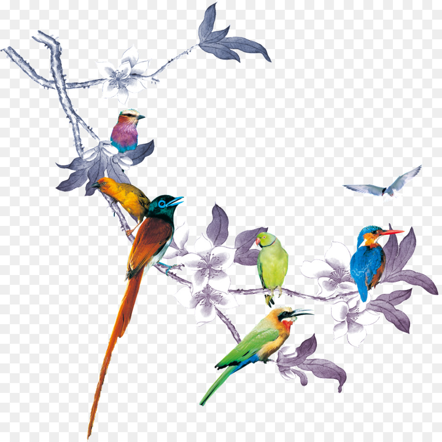 Oiseaux Colorés，Vert PNG