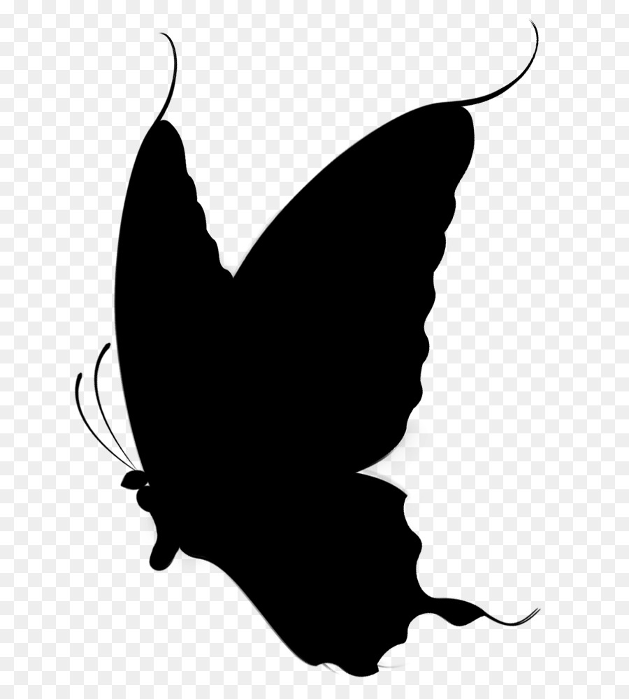 Papillon Noir，Insecte PNG