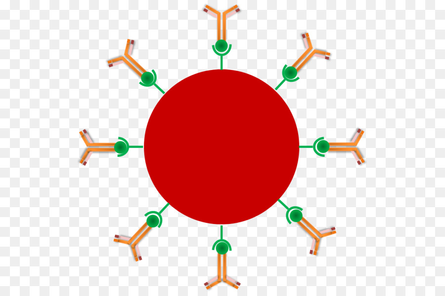 La Théorie De L'，La Physique PNG